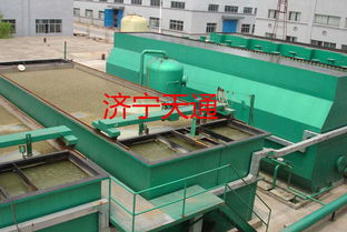 安徽天通污水处理设施 电解式食品污水处理设备助力绿色产业升级
